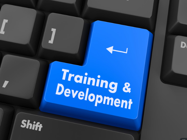 Training and development